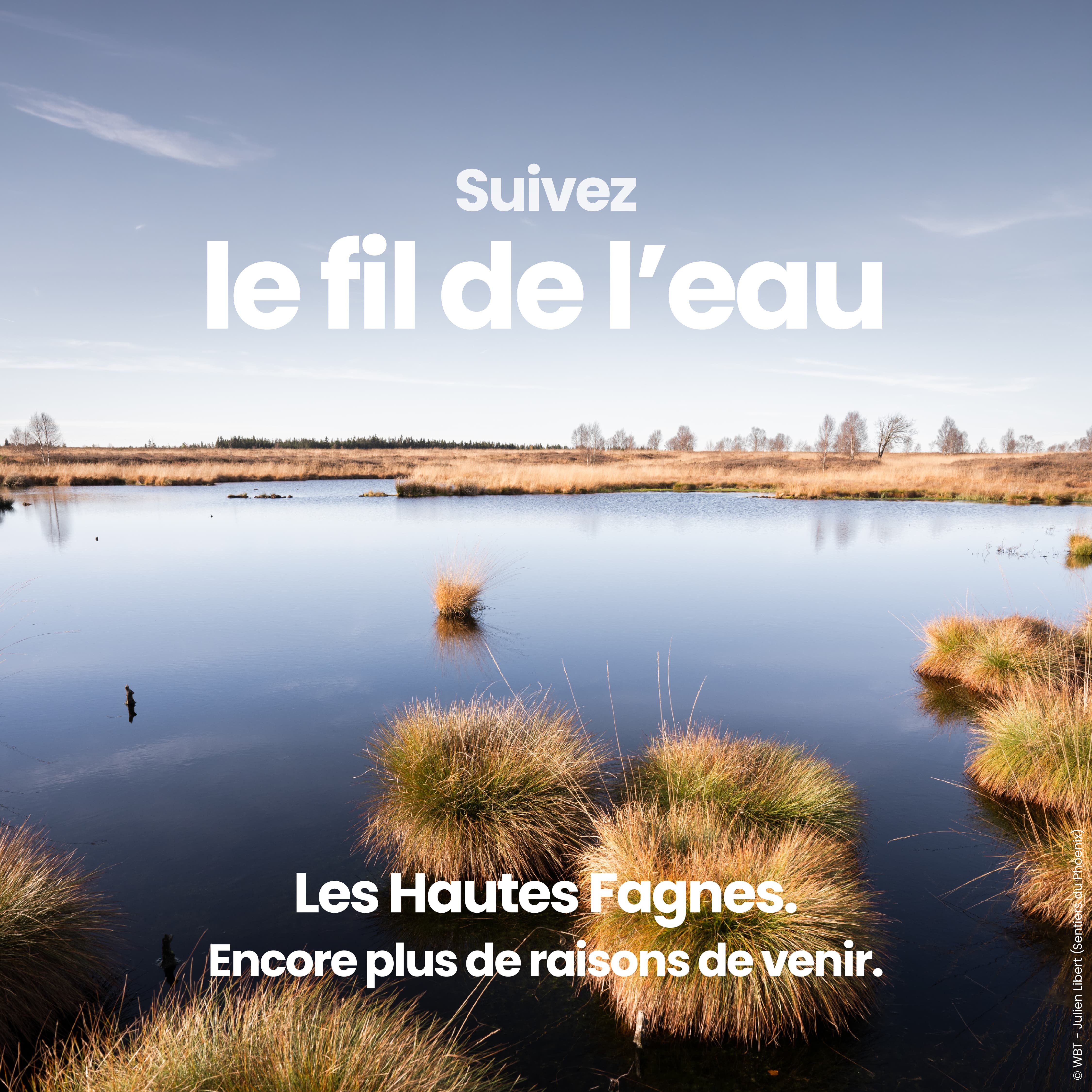 Description image gauche